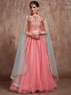 Pink Colour Wedding Lehenga Choli In Net Fabric.