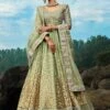 Green Colour Net Fabric Indian Designer Lehenga Choli. -Riwaayat Store prc3812