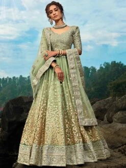 Green Colour Net Fabric Indian Designer Lehenga Choli.