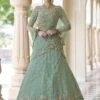 Pista Green Colour Soft Net Fabric Designer Lehenga Choli.
