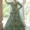 Rama Green Colour Net Fabric Engagement Lehenga Choli. -Riwaayat Store prc3902