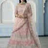 Peach Colour Organza Fabric Designer Lehenga Choli. 1 Peach Colour Organza Fabric Designer Lehenga Choli. -Riwaayat Store prc3908