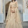 Cream Colour Organza Fabric Designer Lehenga Choli. -Riwaayat Store prc3910
