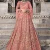 Peach Colour Net Fabric Designer Lehenga Choli. 2 Peach Colour Net Fabric Designer Lehenga Choli. -Riwaayat Store prc3914