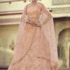 Peach Colour Net Fabric Wedding Lehenga Choli. -Riwaayat Store prc3925